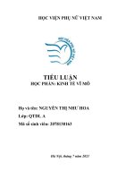 TIỂU LUẬN học PHẦN KINH tế vĩ mô kết hợp chính sách tài khóa và chính sách tiền tệ trong mô hình IS  LM 