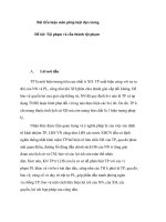 Bài tiểu luận môn pháp luật đại cương đề tài tội phạm và cấu thành tội phạm 