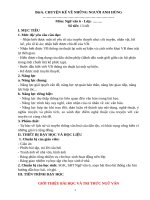 Giáo án ngữ văn 6 sách kết nối tri thức với cuộc sống (kì 2)   