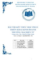 TIỂU LUẬN TRIỂN KHAI KINH DOANH THƯƠNG mại điện tử ý TƯỞNG bánh dinh dưỡng DELEITE BAKER “your health buddy 