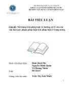 TIỂU LUẬN chủ đề nội dung trái pháp luật và hướng xử lý của các văn bản quy phạm pháp luật trái pháp luật ở trung ương  