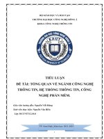 TIỂU LUẬN ĐỀ TÀI: TỔNG QUAN VỀ NGÀNH CÔNG NGHỆ THÔNG TIN, HỆ THỐNG THÔNG TIN, CÔNG NGHỆ PHẦN MỀM