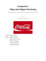 Assignment  nhập môn digital marketing nghiên cứu hoạt động digital marketing COCA COLA 