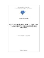 Tội vi phạm các quy định về khaithác và bảo vệ rừng theo luật hình sự việt nam (luận văn thạc sỹ luật) 