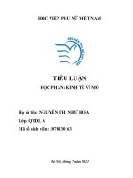 TIỂU LUẬN học PHẦN KINH tế vĩ mô kết hợp chính sách tài khóa và chính sách tiền tệ trong mô hình IS  LM 