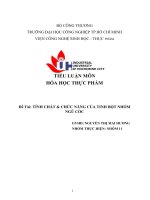 TIỂU LUẬN môn hóa học THỰC PHẨM đề tài TÍNH CHẤT  CHỨC NĂNG của TINH bột NHÓM NGŨ cốc 