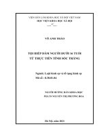 (Luận văn thạc sĩ) ĐỊNH tội DANH tội lạm DỤNG tín NHIỆM CHIẾM đoạt tài sản từ THỰC TIỄN THÀNH PHỐ hồ CHÍ MINH 