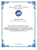 BÁO CÁO THỰC HÀNH NGHỀ NGHIỆP 1 ĐỀ TÀI: TÌM HIỂU CHIẾN LƯỢC MARKETING_MIX SẢN PHẨM BIA HEINEKEN CỦA CÔNG TY TNHH NHÀ MÁY BIA HEINEKEN VIỆT NAM