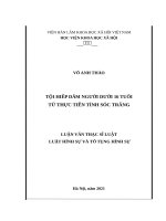 ĐỊNH tội DANH tội lạm DỤNG tín NHIỆM CHIẾM đoạt tài sản từ THỰC TIỄN THÀNH PHỐ hồ CHÍ MINH 