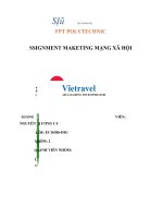ASSIGNMENT MAKETING MẠNG xã hội công ty cổ phần vietravel 