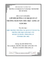 hiệu trưởng với công tác quản lý tài sản tại trưởng tiểu học long hựu tây huyện cần đước tỉnh long an năm học 2021 2022 