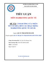 TIỂU LUẬN MÔN MARKETING QUỐC TẾ ẢNH HƯỞNG CỦA NHÂN TỐ VĂN HÓA ĐẾN CÁC HOẠT ĐỘNG MARKETING QUỐC TẾ (SỐ 20)