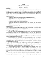 Giáo trình Lý thuyết ngôn ngữ lập trình (Nghề Lập trình máy tính): Phần 2 - Tổng cục dạy nghề