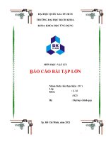 BÁO cáo bài tập lớn vẽ QUỸ đạo CHUYỂN ĐỘNG ném XIÊN TRONG TRỌNG TRƯỜNG bỏ QUA lực cản và xác ĐỊNH một vài THÔNG số LIÊN QUAN 
