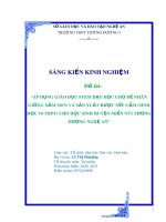 Áp dụng giáo dục STEM dạy học chủ đề nhân giống nấm men và sản xuất rượu nếp cẩm (sinh học 10 THPT) cho học sinh huyện miền núi Tương Dương Nghệ An