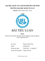 TIỂU LUẬN đề tài phân tích các hình thức biểu hiện của giá trị thặng dư trong chủ nghĩa tư bản ý nghĩa thực tiễn 