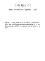 Bài tập lớn kinh tế chính trị Mác Lênin: Lý luận chung về lợi ích kinh tế và để xuất phương thức bảo vệ lợi ích của mình khi tham khao các hoạt động kinh tế xã hội