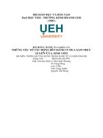 DỰ án NGHIÊN cứu NHỮNG yếu tố tác ĐỘNG đến HÀNH VI MUA sắm TRỰC TUYẾN của SINH VIÊN 