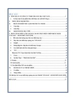 Chọn 1 DN sản phẩm nhãn hàng bất kỳ  mô tả chiến lược quảng cáo đã thực hiện  CHIẾN lược QUẢNG cáo của THƯƠNG HIỆU BIA TIGER   “TIGER UNCAGE” ĐÁNH THỨC bản LĨNH 