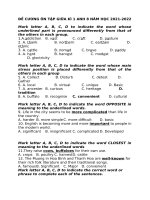 ĐỀ CƯƠNG ôn tập GIỮA kì 1 ANH 8 năm học 2021 