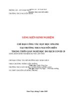Skkn dạy học trực tuyến (phạm ngọc   nam trực  nam định) 