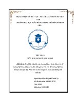 Trình bày thị phần các thương hiệu ô tô cá nhân trên thị trường Việt Nam. Hãy mô tả diễn biến giá xe ô tô trên thị trường Việt Nam trong 5 năm gần đây. Phân tích và chỉ rõ nguyên nhân của những diễn biến đó