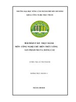BÀI báo cáo THỰC HÀNH môn CÔNG NGHỆ CHẾ BIẾN THỨC UỐNG sản PHẨM NECTA MÃNG cầu 