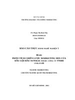 PHÂN TÍCH CHIẾN lược MARKETING MIX của dầu gội đầu SUNSILK THUỘC CÔNG TY TNHH UNILEVER 