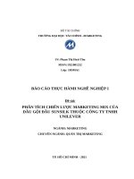 PHÂN TÍCH CHIẾN lược MARKETING MIX của dầu gội đầu SUNSILK THUỘC CÔNG TY TNHH UNILEVER 