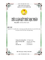 Nguyên lý về sự phát triển và vận dụng quan điểm phát triển vào quá trình học tập, rèn luyện của sinh viên Học viện ngân hàng