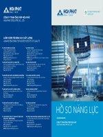 Mẫu hồ sơ năng lực nhà máy Hòa Phát