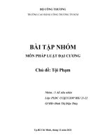 BÀI tập NHÓM môn PHÁP LUẬT đại CƯƠNG chủ đề tội phạm 