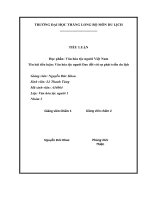 TIỂU LUẬN học phần văn hóa tộc người việt nam tiểu luận văn hóa tộc người dao đối với sự phát triển du lịch 
