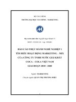 BÁO CÁO THỰC HÀNH NGHỀ NGHIỆP 1 TÌM HIỂU HOẠT ĐỘNG MARKETING – MIX CỦA CÔNG TY TNHH NƯỚC GIẢI KHÁT COCA – COLA VIỆT NAM GIAI ĐOẠN 2018 - 2020