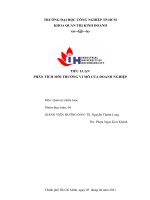 TIỂU LUẬN PHÂN TÍCH môi TRƯỜNG VI mô của DOANH NGHIỆP 