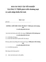 BÁO CÁO THỰC TẬP TỐT NGHIỆP TẠI CÔNG TY TNHH phát triển thương mại và xuất nhập khẩu Hà Linh