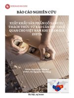 XUẤT KHẨU SẢN PHẨM GỖ SANG EU: THÁCH THỨC TỪ RÀO CẢN PHI THUẾ QUAN CHO VIỆT NAM KHI THAM GIA  EVFTA