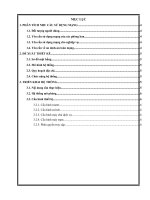 triển khai hệ thống mạng cho công ty đấu giá tài sản trực tuyến