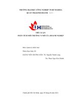 TIỂU LUẬN PHÂN TÍCH môi TRƯỜNG VI mô của DOANH NGHIỆP 