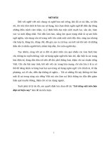 Tiểu luận cao học   lỗi tiếng việt trên báo điện tử hiện nay