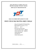 BÁO cáo NHÓM môn KINH tế VI mô PHÂN TÍCH THỊ TRƯỜNG điện THOẠI 