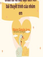 slide thuyết trình tiểu luận Đề tài Hình phạt .Phân loại và nội dung hình phạt Điều kiện áp dụng của từng loại hình phạt Phân biệt hình phạt chinh và hình phạt bổ sung