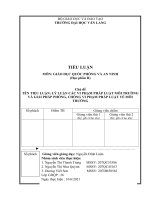 TIỂU LUẬN lý LUẬN các VI PHẠM PHÁP LUẬT môi TRƯỜNG và GIẢI PHÁP PHÒNG, CHỐNG VI PHẠM PHÁP LUẬT về môi TRƯỜNG 