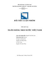 TIỂU LUẬN  đề tài NGÂN HÀNG NHÀ nước VIÊT NAM 