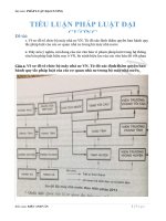 Hãy nêu ý nghĩa, nội dung của các văn bản vi phạm pháp luật trong hệ thống văn bản pháp luật hiện nay ở VN  so sánh hiệu lực của các văn bản đó với nhau 