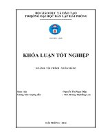 GIẢI PHÁP NÂNG CAO HIỆU QUẢ HOẠT ĐỘNG TÍN DỤNG TẠI NGÂN HÀNG THƯƠNG MẠI CỔ PHẦN NAM VIỆT CHI NHÁNH HẢI PHÒNG