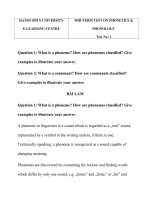 Ngữ pháp lý thuyết ehou đại học mở