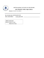 TIỂU LUẬN môn kế TOÁN tài CHÍNH 1 CHỦ đề   PHÂN TÍCH một số CHỈ TIÊU báo cáo tài CHÍNH tên CÔNG TY CÔNG TY cổ PHẦN VIỆT NAM kỹ NGHỆ súc sản 