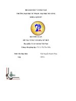 BÀI TIỂU LUẬN đề tài VÙNG văn hóa xứ HUẾ 