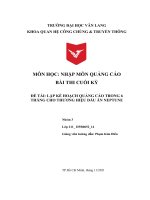 Phân tích SWOT, môi trường vi vĩ mô và xây dựng kế hoạch quảng cáo cho dầu ăn Neptune (gồm bài ppt)